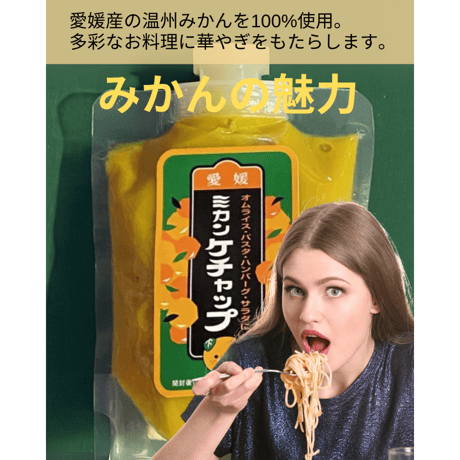 【配送料無料】愛媛県産 みかんケチャップ《 2袋 》