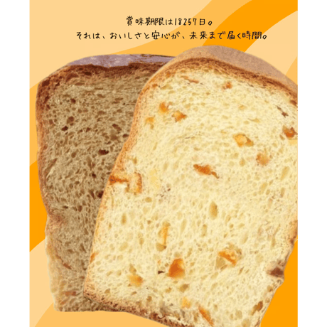 新・食・缶ベーカリー 缶入りソフトパン ギフトセット 5年 4缶セット