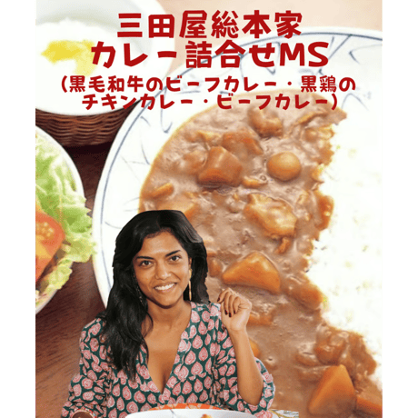 三田屋総本家 カレー詰合せ MS(黒毛和牛のビーフカレー・黒鶏のチキンカレー・ビーフカレー)