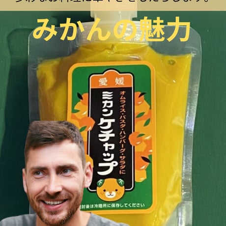 【配送料無料】愛媛県産 みかんケチャップ《 2袋 》