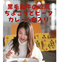 三田屋総本家 黒毛和牛の欧風ちょこっとビーフカレー6食入り