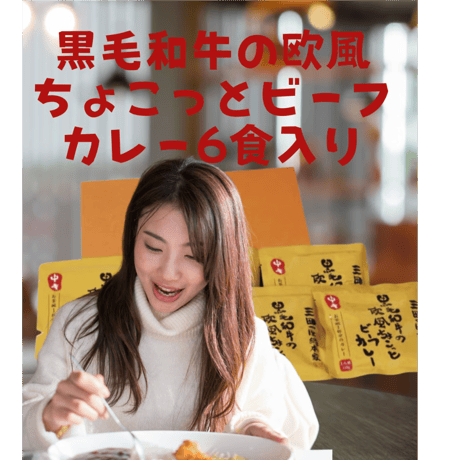 三田屋総本家 黒毛和牛の欧風ちょこっとビーフカレー6食入り