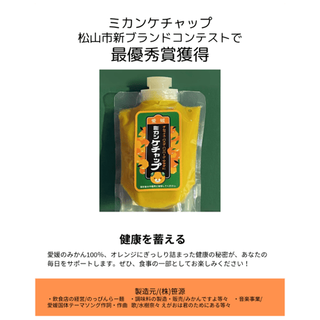 【配送料無料】愛媛県産 みかんケチャップ《 2袋 》