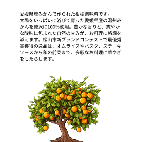 【配送料無料】愛媛県産 みかんケチャップ《 2袋 》