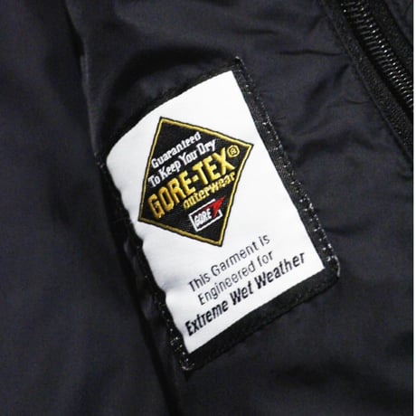 L.L Bean GORE-TEX Down Parka