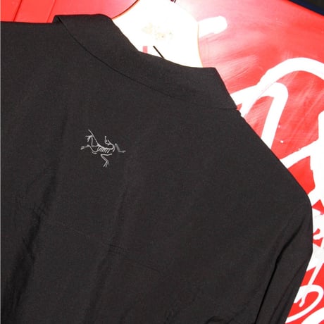 Arc'teryx L/SL Shirt