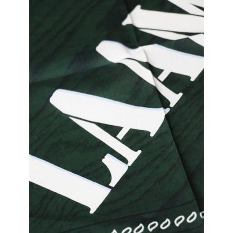 LAAMS Please Post Bills Bandana