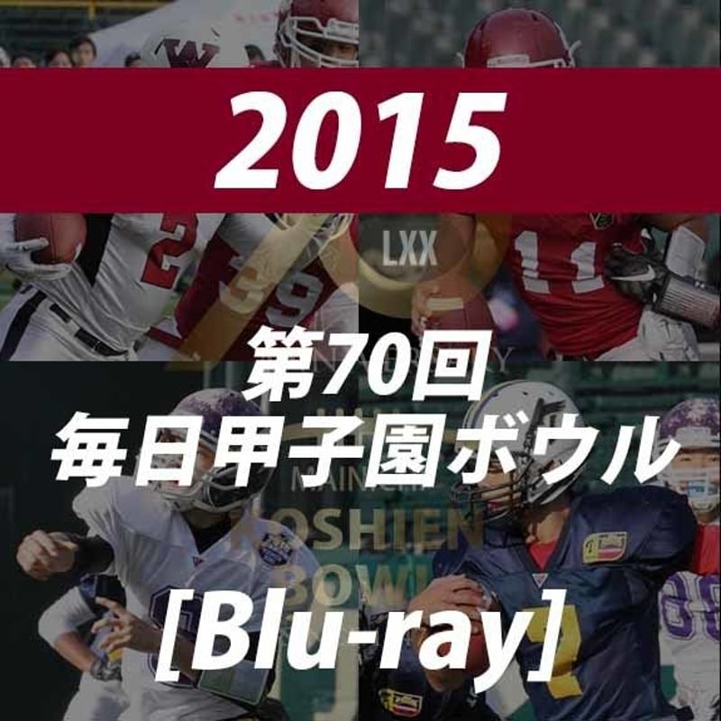 甲子園ボール 校名ボール - 阪神甲子園球場公式オンラインショップ 甲子園eモール