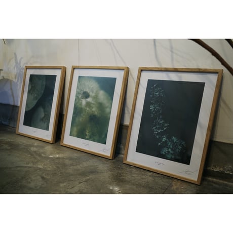 【Dinergy series】 Art Poster / A3［No.005］