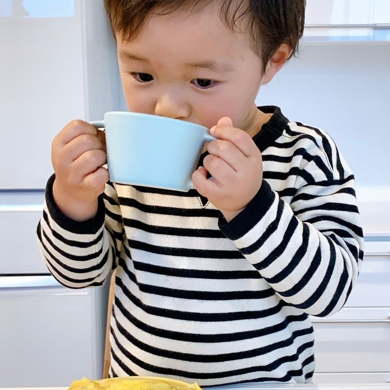 ジャパンテクノロジー フガク (POM) 2個セット ランドクルーザー