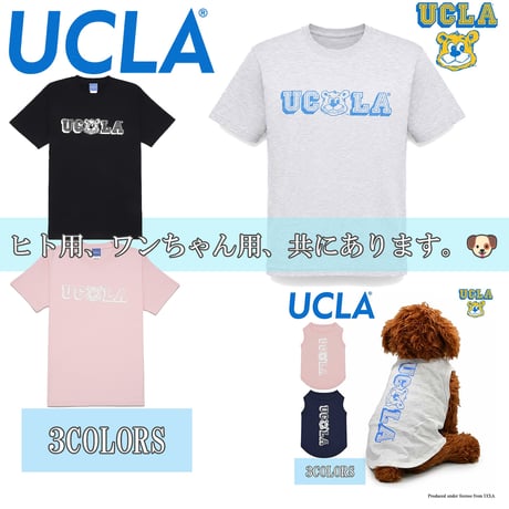 送料無料　UCLA （ユーシーエルエー）　Tシャツ メンズ レディース UCLA-0570 6.2oz ヘビーウエイト カレッジ ロゴ オープンエンドTシャツ アメカジ