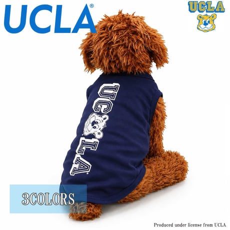 送料無料 UCLA(ユーシーエルエー） 犬服 Tシャツ ドッグウエア UCLA-0568 UCクマLA カレッジ アメカジ