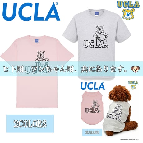 送料無料　UCLA （ユーシーエルエー）　Tシャツ メンズ レディース UCLA-0571 6.2oz ヘビーウエイト カレッジ ロゴ オープンエンドTシャツ アメカジ