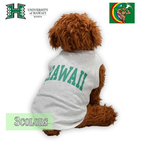 送料無料 HAWAI'I (ハワイ） 犬服 Tシャツ ドッグウエア HWUS-063 カレッジ ロゴ キャラクター アメカジ