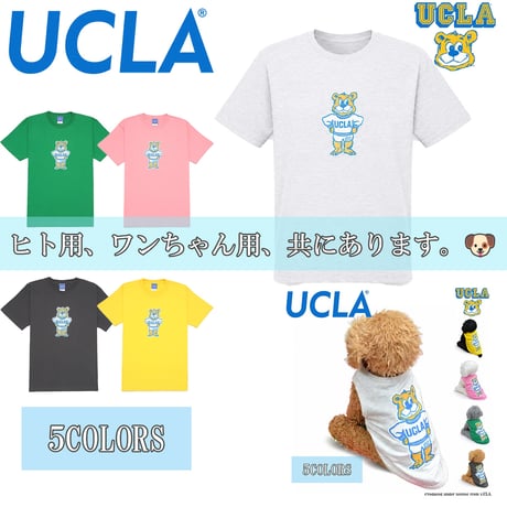 送料無料 UCLA(ユーシーエルエー） 犬服 Tシャツ ドッグウエア UCLA-0566 カレッジ アメカジ