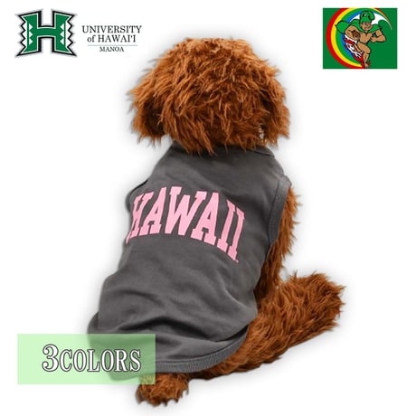 送料無料 HAWAI'I (ハワイ） 犬服 Tシャツ ドッグウエア HWUS-063 カレッジ ロゴ キャラクター アメカジ