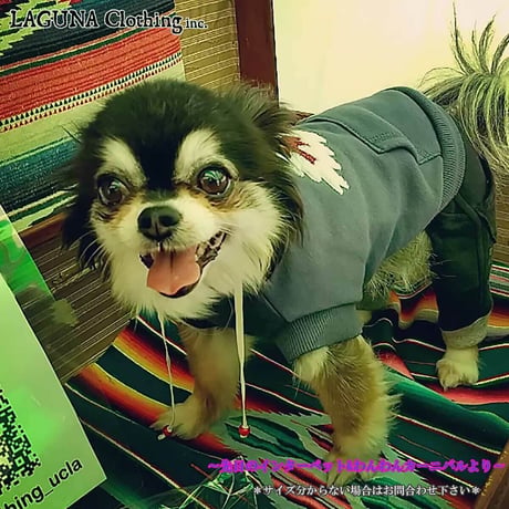 送料無料 ORTEGA (オルテガ） 犬服 パーカー ドッグウエア ORTG-002B アメカジ ネイティブ