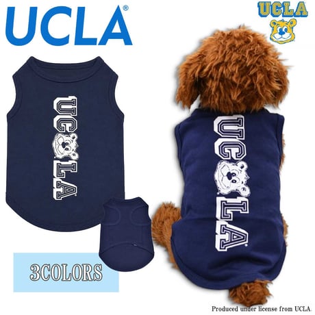送料無料 UCLA(ユーシーエルエー） 犬服 Tシャツ ドッグウエア UCLA-0568 UCクマLA カレッジ アメカジ