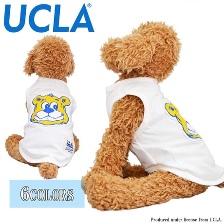 送料無料 UCLA(ユーシーエルエー） 犬服 Tシャツ ドッグウエア UCLA-0549 カレッジ ロゴ キャラクター アメカジ