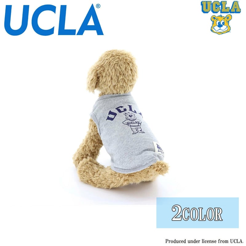 送料無料 UCLA(ユーシーエルエー） 犬服 Tシャツ ドッグウエア UCLA