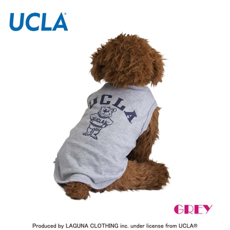 送料無料 UCLA(ユーシーエルエー） 犬服 Tシャツ ドッグウエア UCLA-0433 カレッジ アメカジ