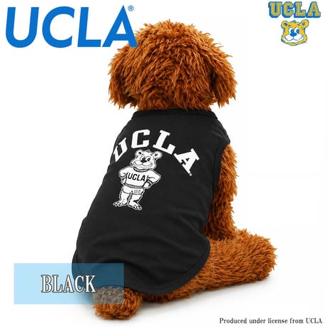 送料無料 UCLA(ユーシーエルエー） 犬服 Tシャツ ドッグウエア UCLA-0433 STANDBEAR クマ カレッジ アメカジ