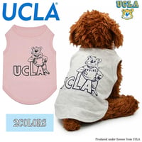 送料無料 UCLA(ユーシーエルエー） 犬服 Tシャツ ドッグウエア UCLA-0569 SEKIGUCHI クマ カレッジ アメカジ