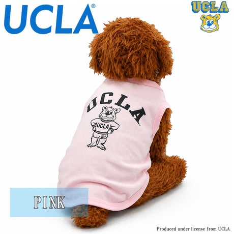送料無料 UCLA(ユーシーエルエー） 犬服 Tシャツ ドッグウエア UCLA-0433 STANDBEAR クマ カレッジ アメカジ