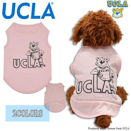 送料無料 UCLA(ユーシーエルエー） 犬服 Tシャツ ドッグウエア UCLA-0569 SEKIGUCHI クマ カレッジ アメカジ