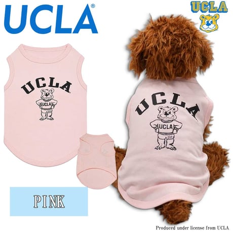 送料無料 UCLA(ユーシーエルエー） 犬服 Tシャツ ドッグウエア UCLA-0433 STANDBEAR クマ カレッジ アメカジ