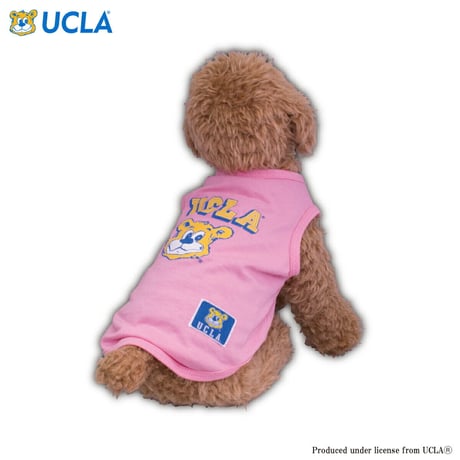 送料無料 UCLA(ユーシーエルエー）犬服 ドッグウエア ベア Tシャツ 飼い主さんとペアルック