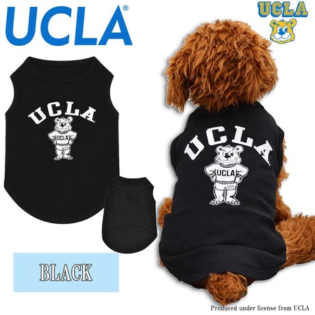 送料無料 UCLA(ユーシーエルエー） 犬服 Tシャツ ドッグウエア UCLA-0433 STANDBEAR クマ カレッジ アメカジ