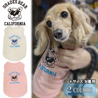 送料無料  SHADES BEAR(シェーズベア） 犬服 Tシャツ ドッグウエア SDBR-001 アメカジ