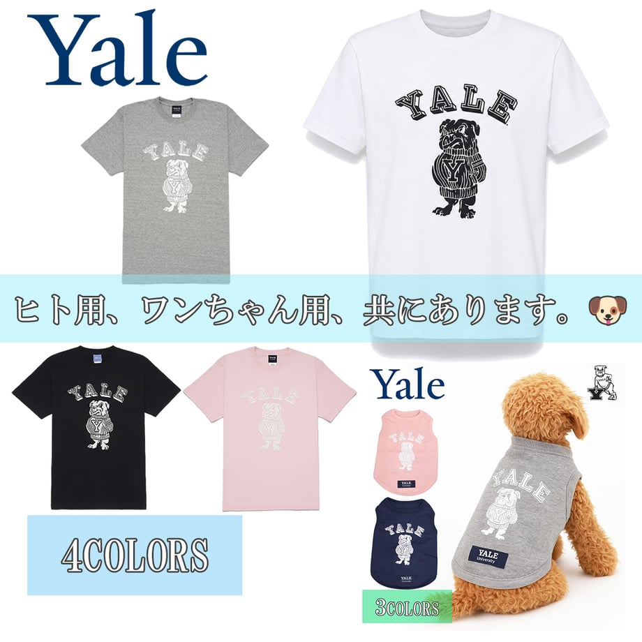 6a3e59aefe1d6b1c6cf3aea7