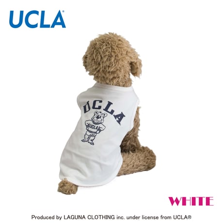 送料無料 UCLA(ユーシーエルエー） 犬服 Tシャツ ドッグウエア UCLA-0433 カレッジ アメカジ