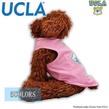 送料無料 UCLA(ユーシーエルエー） 犬服 Tシャツ ドッグウエア UCLA-0566 カレッジ アメカジ