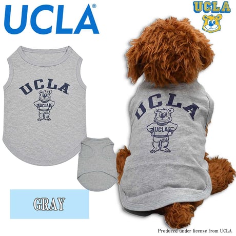 送料無料 UCLA(ユーシーエルエー） 犬服 Tシャツ ドッグウエア UCLA-0433 STANDBEAR クマ カレッジ アメカジ