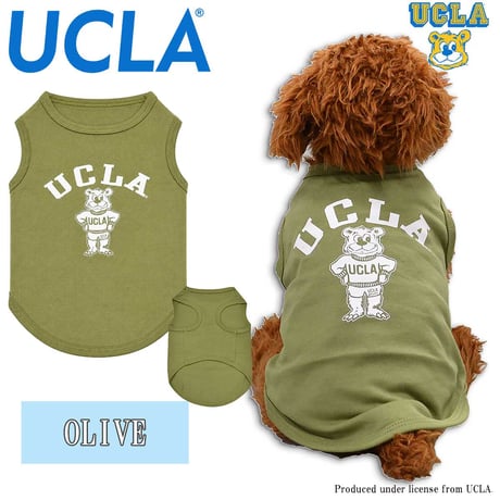 送料無料 UCLA(ユーシーエルエー） 犬服 Tシャツ ドッグウエア UCLA-0433 STANDBEAR クマ カレッジ アメカジ