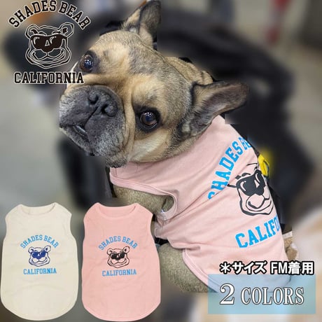 送料無料  SHADES BEAR(シェーズベア） 犬服 Tシャツ ドッグウエア SDBR-001 アメカジ