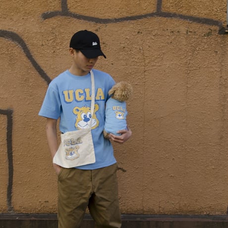 送料無料 UCLA(ユーシーエルエー）犬服 ドッグウエア ベア Tシャツ 飼い主さんとペアルック