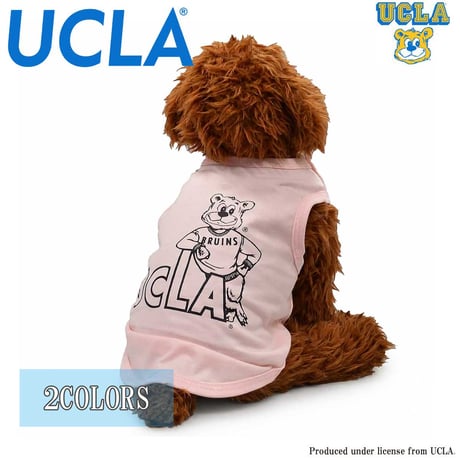 送料無料 UCLA(ユーシーエルエー） 犬服 Tシャツ ドッグウエア UCLA-0569 SEKIGUCHI クマ カレッジ アメカジ