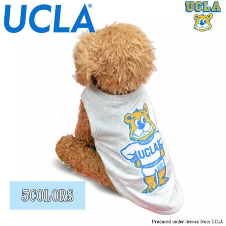 送料無料 UCLA(ユーシーエルエー） 犬服 Tシャツ ドッグウエア UCLA-0566 カレッジ アメカジ