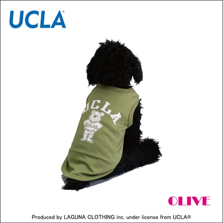 送料無料 UCLA(ユーシーエルエー） 犬服 Tシャツ ドッグウエア UCLA-0433 カレッジ アメカジ