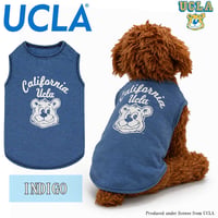 送料無料 UCLA(ユーシーエルエー） 犬服 Tシャツ ドッグウエア UCLA-0561 カレッジ アメカジ