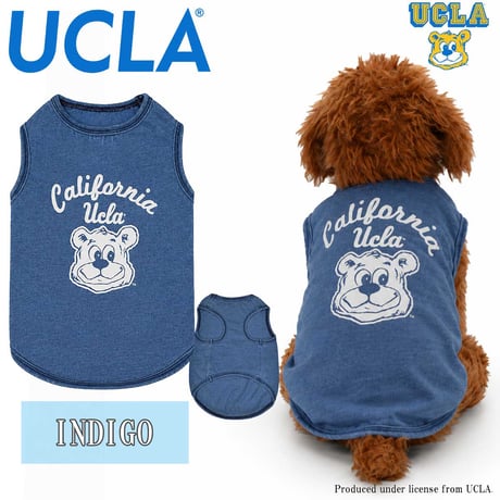 送料無料 UCLA(ユーシーエルエー） 犬服 Tシャツ ドッグウエア UCLA-0561 カレッジ アメカジ