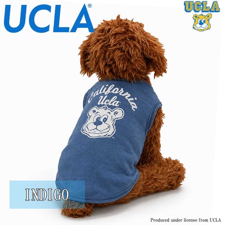 送料無料 UCLA(ユーシーエルエー） 犬服 Tシャツ ドッグウエア UCLA-0561 カレッジ アメカジ