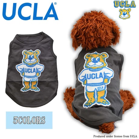 送料無料 UCLA(ユーシーエルエー） 犬服 Tシャツ ドッグウエア UCLA-0566 カレッジ アメカジ