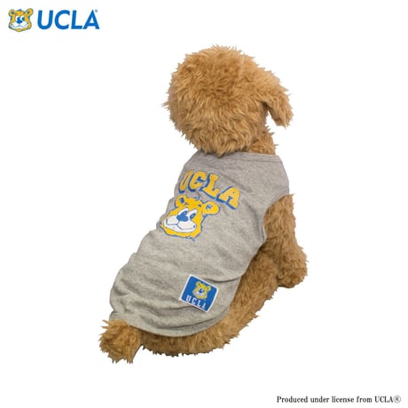 送料無料 UCLA(ユーシーエルエー）犬服 ドッグウエア ベア Tシャツ 飼い主さんとペアルック