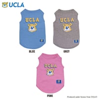 送料無料 UCLA(ユーシーエルエー）犬服 ドッグウエア ベア Tシャツ 飼い主さんとペアルック