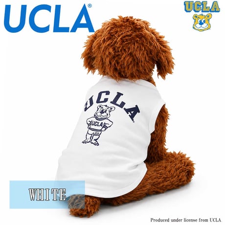 送料無料 UCLA(ユーシーエルエー） 犬服 Tシャツ ドッグウエア UCLA-0433 STANDBEAR クマ カレッジ アメカジ